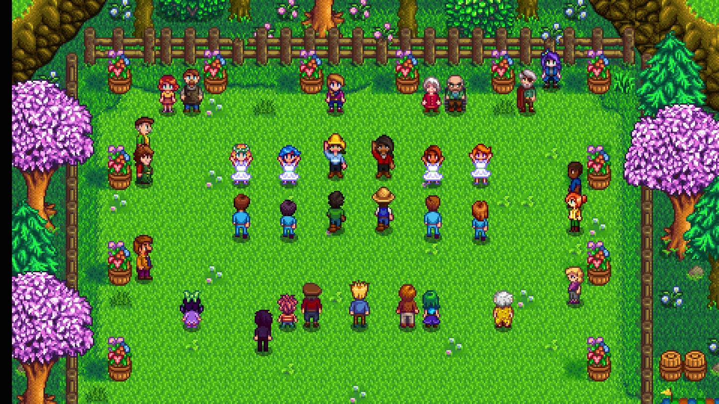 Stardew Valley 1.6 Nintendo Switch